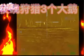 夜间一乌军狙击手狩猎3Z大鹅视频封面