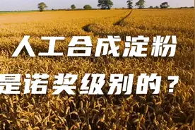 颠覆性的科研成果，人工合成淀粉可以解决中国人的吃饭问题吗？视频封面