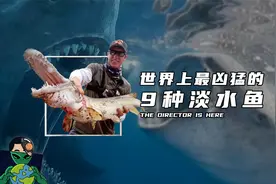 世界上最凶猛的9种淡水鱼视频封面