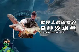 世界上最凶猛的9种淡水鱼视频封面