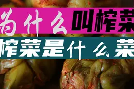 涪陵榨菜为什么叫榨菜？榨菜是什么菜腌制的？带你看看神奇的芥菜视频封面