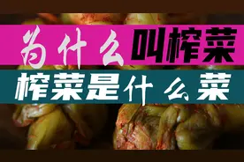 涪陵榨菜为什么叫榨菜？榨菜是什么菜腌制的？带你看看神奇的芥菜视频封面