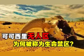 危险度最高的禁区之一，可可西里有多恐怖？为何不允许随意进入？视频封面