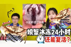 螃蟹冰冻24小时后，能奇迹般复活！还能遇水变色，这是为什么？视频封面
