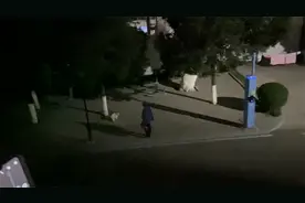 笑喷！西安一高校大爷训斥流浪猫要懂礼貌：如果做不到 逐出校园