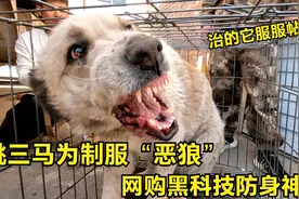 姚三马为制服“恶狼”，网购黑科技防身神器，治的恶狼嗷嗷叫！视频封面