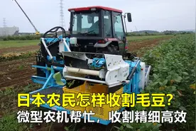 日本农民怎样收割毛豆？微型农机帮忙，收割精细高效，不得不服！视频封面