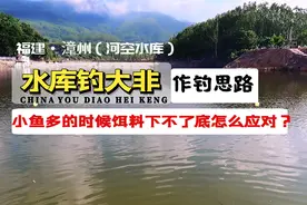 水库钓大罗非在小鱼闹的时候该怎么应对？这些作钓思路能帮到你！视频封面