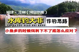 水库钓大罗非在小鱼闹的时候该怎么应对？这些作钓思路能帮到你！视频封面