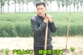 大田地里为什么没有蚯蚓了，听听农民小伙分析的对吗？细思极恐视频封面