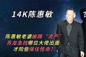 14K陈惠敏老婆被踢流产？苏龙找哪位大佬出面求情