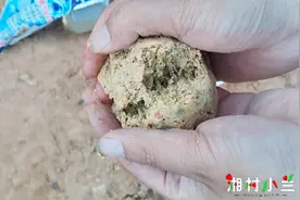 用红薯这样开饵，入水第一杆就中鱼，晚上钓的鱼个体更大视频封面