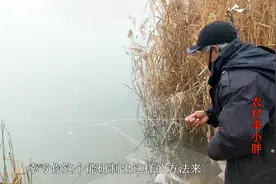 神秘野湖下大雾，大爷研发独自下粘网的方法，小伙一看服气了视频封面
