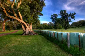 希望你继续兴致盎然地与世界交手， 一直走在开满鲜花的路上。视频封面