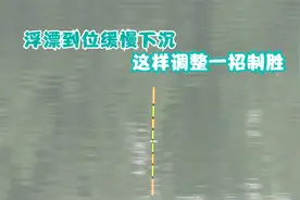 浮漂到位又缓缓下沉，问题究竟出在哪儿？这几点改变招招制胜！视频封面