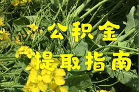 北京住房公积金个人提取指南,每月取1500,2小时到账终于有饭钱了视频封面