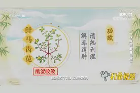 马齿苋有清热利湿、解毒消肿作用，可应急缓解急性湿疹丨健康之路