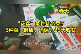 5种蔬菜种子，春天花盆能种“爆盆”，好看又健康视频封面