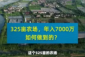 325亩的农场，年入7000万，如何做到的？视频封面