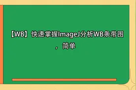【WB】快速掌握ImageJ分析WB条带图，简单【转载】