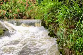 湘江源随拍，您有可能不知道，湖南湘江的源头竟然是在广西桂林！视频封面