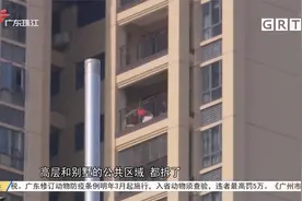 江门：小区多个摄像头一夜不翼而飞 何解？视频封面