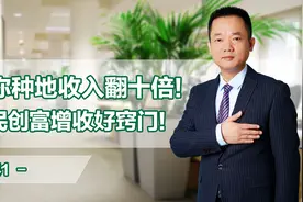 让你种地的收入翻十倍，农民创富增收的好窍门！视频封面