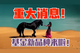 重大消息！基金新品种来了，它到底有什么优势？会不会成为黑马！视频封面