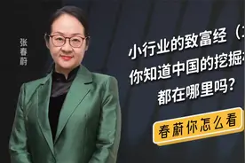 “挖掘机之都”在山东，说出来你可能不信，上饶这个地方才是...视频封面
