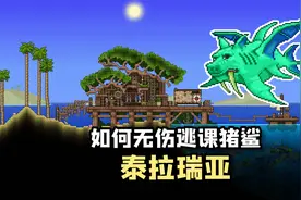 如何无伤逃课猪鲨？菱形轨道怎么造，泰拉瑞亚手游解说视频封面