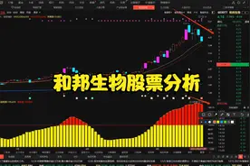 和邦生物股票分析