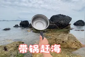 带锅赶海，现抓现吃，这样的海鲜太鲜美了视频封面