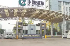 我国烟草公司一年赚10000亿，为啥还进不了世界500强？看完扎心了视频封面