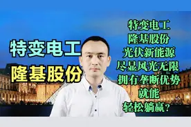 特变电工 隆基股份 光伏新能源风光无限 拥有垄断优势就能躺赢？视频封面
