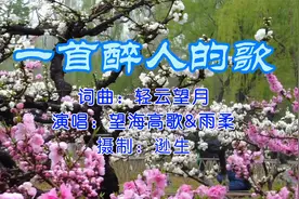 望海高歌和雨柔原唱《一首醉人的歌》，歌声悦耳，歌词动人视频封面