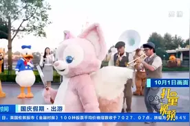上海迪士尼乐园迎客流高峰，热门项目排队1小时|第一时间视频封面