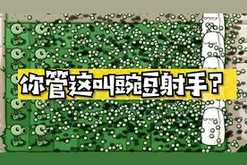 植物大战僵尸：你管这叫“豌豆射手”？视频封面