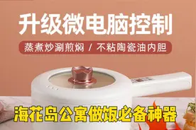 公寓做饭必备神器抛弃电磁炉，特别适合海花岛没有燃气的户型使用视频封面
