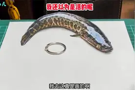 我以为鱼是真的，没想到是真画的视频封面