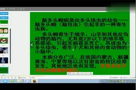 羊脑包虫的预防和治疗，专业医师在线讲解，看完就了解视频封面
