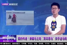 感动！福建男子骑马下海救人后痛失良驹，新疆小伙送他一匹伊犁马视频封面