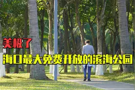 海口免费开放的最大公园，也是中国第二座受立法保护的公园，很美视频封面