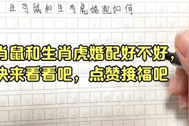 生肖鼠和生肖虎婚配好不好，快来看看吧，点赞接福吧视频封面