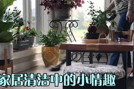 美国妈妈清洁手册七，清洁用品混装盒，给打扫卫生增添几分小情趣视频封面