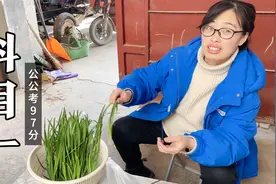 50岁公公去考驾照，科目一考97分，公公会开拖拉机容易考驾照吗？视频封面