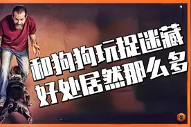 为什么该和狗狗多玩捉迷藏？训狗师教你正确方法来激发狗狗能力
