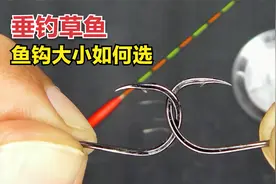 垂钓草鱼钩子小了扛不住，大了影响吃口！鱼钩大小该如何选择