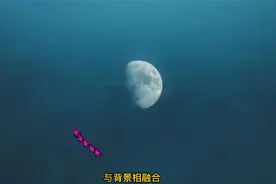 摄影作品赏析，色彩的理论和逻辑，色彩构图实例(二)视频封面