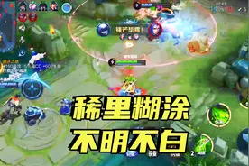 恶心透了！遇到这样的扁鹊，对面团战都不敢打了，稀里糊涂就死！视频封面