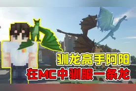 我的世界mod：史诗级龙模组，阿阳教你如何成为一名驯龙高手